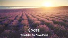  Presentation with lavender - Theme featuring meadow-of-lavender-at-sunset background and a tawny brown colored foreground