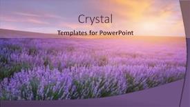  Presentation with lavender - Slide set having meadow-of-lavender-at-sunset background and a lemonade colored foreground