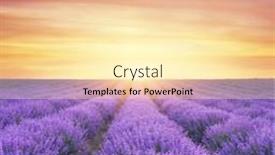  Presentation with lavender - Presentation theme consisting of meadow-of-lavender-at-sunset background and a blonde colored foreground
