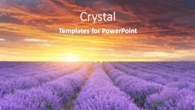  Presentation with lavender - Presentation theme with meadow-of-lavender-at-sunset background and a tawny brown colored foreground