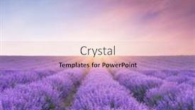  Presentation with lavender - PPT layouts featuring meadow-of-lavender-at-sunset background and a lemonade colored foreground