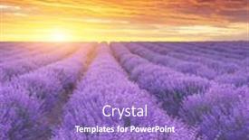  Presentation with lavender - Presentation design featuring meadow-of-lavender-at-sunset background and a violet colored foreground