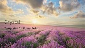  Presentation with lavender - Colorful presentation theme enhanced with meadow-of-lavender-nature-composition backdrop and a lemonade colored foreground