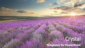  Presentation with nature meadow baby and child - Slide set with meadow of lavender nature composition background and a coral colored foreground