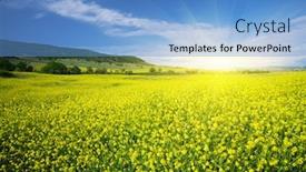  Presentation with meadow - Theme having meadow-of-rape-nature-composition background and a teal colored foreground