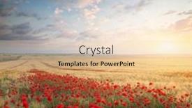  Presentation with poppy - Presentation with meadow-of-wheat-and-poppy background and a lemonade colored foreground