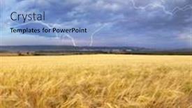  Presentation with stroke - Beautiful slide set featuring meadow-of-wheat-harvest backdrop and a light blue colored foreground