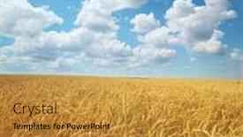  Presentation with wheat - Beautiful presentation design featuring meadow-of-wheat-nature-composition backdrop and a gold colored foreground
