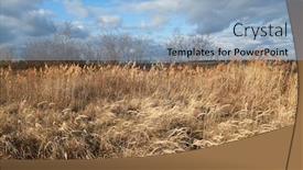  Presentation with weed - Colorful presentation theme enhanced with meadow-with-tall-dryed-out backdrop and a light blue colored foreground