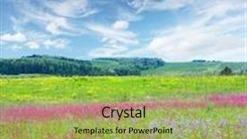  Presentation with pink sky - PPT theme enhanced with meadow with wild pink flowers under blue sky with clouds background and a yellow colored foreground