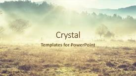  Presentation with meadow - Audience pleasing PPT theme consisting of meadow backdrop and a soft green colored foreground