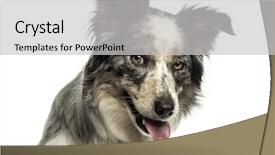  Presentation with mean - Beautiful slide deck featuring salad with beef boiled potatoes pickles cheese tomato parsley in the plate napkin dill on the background light wooden boards backdrop and a light gray colored foreground