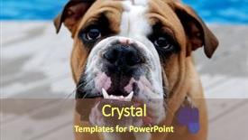  Presentation with mean - Cool new presentation with lightning - modern kitchen interior in warm backdrop and a soft green colored foreground