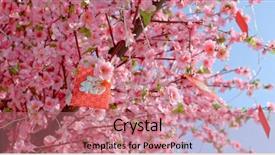  Presentation with rhyming words - Audience pleasing slide deck consisting of blossom with red packet words backdrop and a coral colored foreground