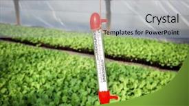  Presentation with measurement - PPT layouts featuring measurement of temperature background and a light gray colored foreground