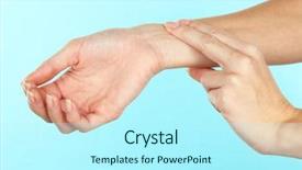  Presentation with pulse - Slide set consisting of jack russell terrier female dog background and a seafoam green colored foreground.