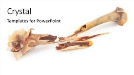  Presentation with broken bone - Slides having meat waste - broken chicken bone background and a white colored foreground