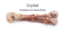  Presentation with waste - Beautiful slide set featuring meat waste - chicken bone backdrop and a  colored foreground