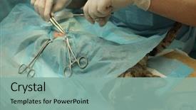  Presentation with surgical - Colorful presentation enhanced with la sterilisation medical - veterinarian's office surgical operation backdrop and a  colored foreground