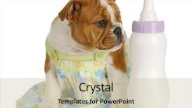  Presentation with baby bottle - Cool new slides with medical bulling - bottle feeding puppy - english backdrop and a soft green colored foreground