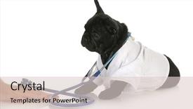  Presentation with patient care - Colorful presentation theme enhanced with winter landscape over carpathian mountains panorama of snow mountain range landscape with blue sky and white clouds from carpathian mountains backdrop and a light blue colored foreground