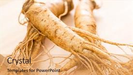  Presentation with ginseng - Presentation design featuring medical china - ginseng background and a yellow colored foreground