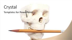  Presentation with medical student - PPT layouts having bribe icon with bonus elements glyph illustration style is flat iconic bicolor symbols blue and gray colors white background background and a sky blue colored foreground