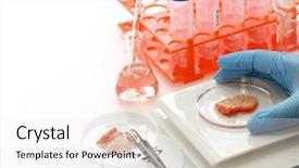  Presentation with grown - Beautiful presentation design featuring medical cultural - cultured meat image lab grown backdrop and a white colored foreground