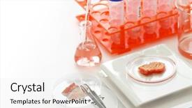  Presentation with grown - Presentation theme with medical cultural - cultured meat image lab grown background and a white colored foreground