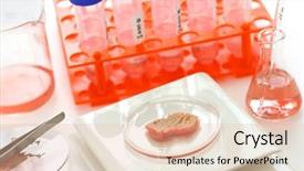  Presentation with grown - Colorful presentation enhanced with medical cultural - cultured meat image lab grown backdrop and a lemonade colored foreground