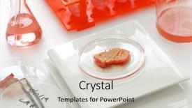  Presentation with grown - Cool new presentation design with medical cultural - cultured meat making image lab backdrop and a light gray colored foreground