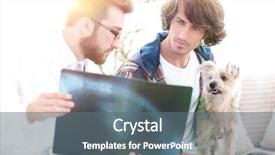  Presentation with dog and cat health - Audience pleasing slides consisting of medical eye ear - veterinarian showing an x-ray backdrop and a  colored foreground