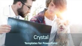  Presentation with scoliosis x ray - Presentation theme having medical eye ear - veterinarian showing an x-ray background and a  colored foreground