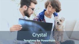  Presentation with dog - Presentation design with medical eye ear - veterinarian showing an x-ray background and a  colored foreground