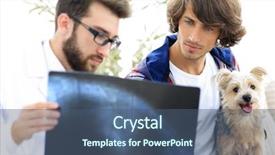  Presentation with dog adolescents - Theme with medical eye ear - veterinarian showing an x-ray background and a  colored foreground