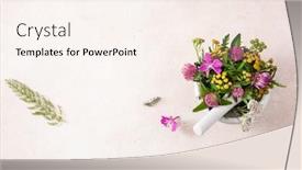  Presentation with clover - Colorful PPT theme enhanced with medical-flowers-herbs-in-mortar backdrop and a cream colored foreground