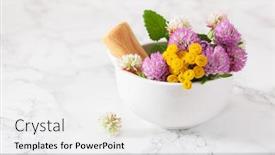  Presentation with clover - Slides consisting of medical-flowers-herbs-in-mortar background and a white colored foreground