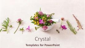  Presentation with healthy lifestyle - Cool new presentation theme with medical-flowers-herbs-in-mortar backdrop and a sky blue colored foreground