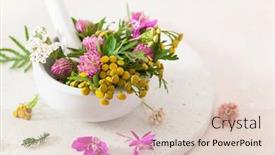  Presentation with healthy-lifestyle - Amazing slides having medical-flowers-herbs-in-mortar backdrop and a lemonade colored foreground