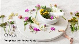  Presentation with healthy lifestyle - Presentation theme featuring medical-flowers-herbs-in-mortar background and a light gray colored foreground
