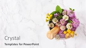  Presentation with alternative medicine - Slides having medical-flowers-herbs-in-mortar background and a white colored foreground