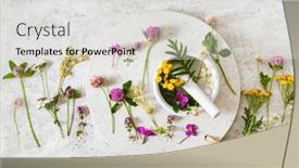  Presentation with healthy lifestyle - PPT theme enhanced with medical-flowers-herbs-in-mortar background and a  colored foreground