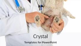  Presentation with checks - Amazing presentation theme having vanoise national park is a french national park between the tarentaise and maurienne valleys in the french alps containing the vanoise massif backdrop and a light blue colored foreground