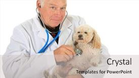  Presentation with gland - Presentation theme with medical gland - kind and caring veterinarian checks background and a soft green colored foreground