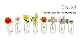  Presentation with white flowers - Slide set consisting of medical herbs - different healing flowers in small background and a white colored foreground