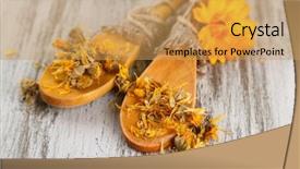  Presentation with calendula - Slide deck enhanced with medical herbs - fresh and dried calendula flowers background and a  colored foreground