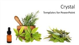  Presentation with aromatherapy oil - Presentation theme having medical herbs - herb leaf selection background and a white colored foreground