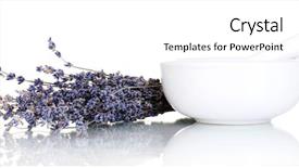  Presentation with lavender flowers - Colorful presentation design enhanced with medical herbs - lavender flowers with mortar isolated backdrop and a white colored foreground