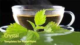  Presentation with nettle - Slide deck featuring medical herbs - tea nettle background and a  colored foreground