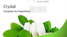  Presentation with teabags - Presentation enhanced with medical herbs - teabags and fresh mint leaves background and a white colored foreground